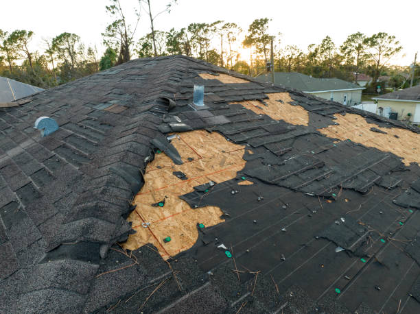 Best Sheet Metal Roofing  in Deerfield, MI