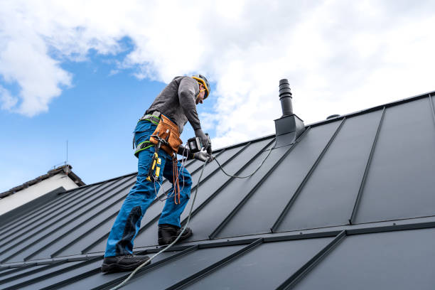 Best Rubber Roofing (EPDM, TPO)  in Deerfield, MI